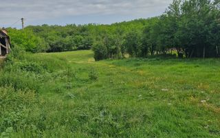 De vânzare Teren versatil 3.919 mp  in localitatea Armeni. Sibiu - Poză 5