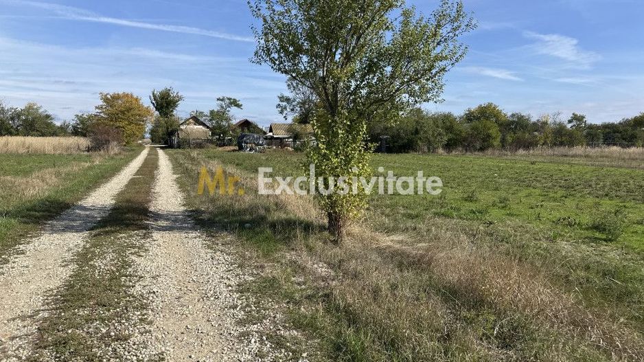 Teren intravilan 3700 mp la 28 km de Pitesti  - zona linistita - Poză 4