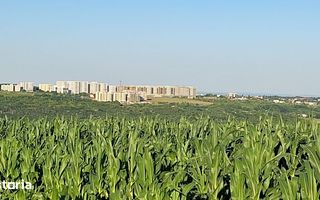 Teren intravilan de vanzare, Rediu, strada 1 Decembrie, 810 mp - Poză 1