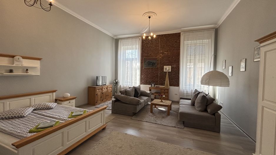 Apartament cu o camera în clădire istorică ,zona Maria - Poză 1