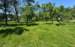TEREN INTRAVILAN 3477 MP STOENEȘTI BĂDENI ARGEȘ - Poză 18