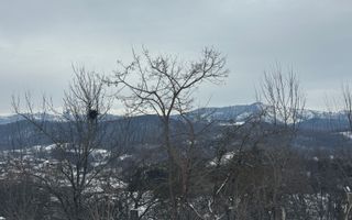 CASĂ 4 CAMERE TEREN 3038 MP ALBEȘTII  DE MUSCEL - Poză 29