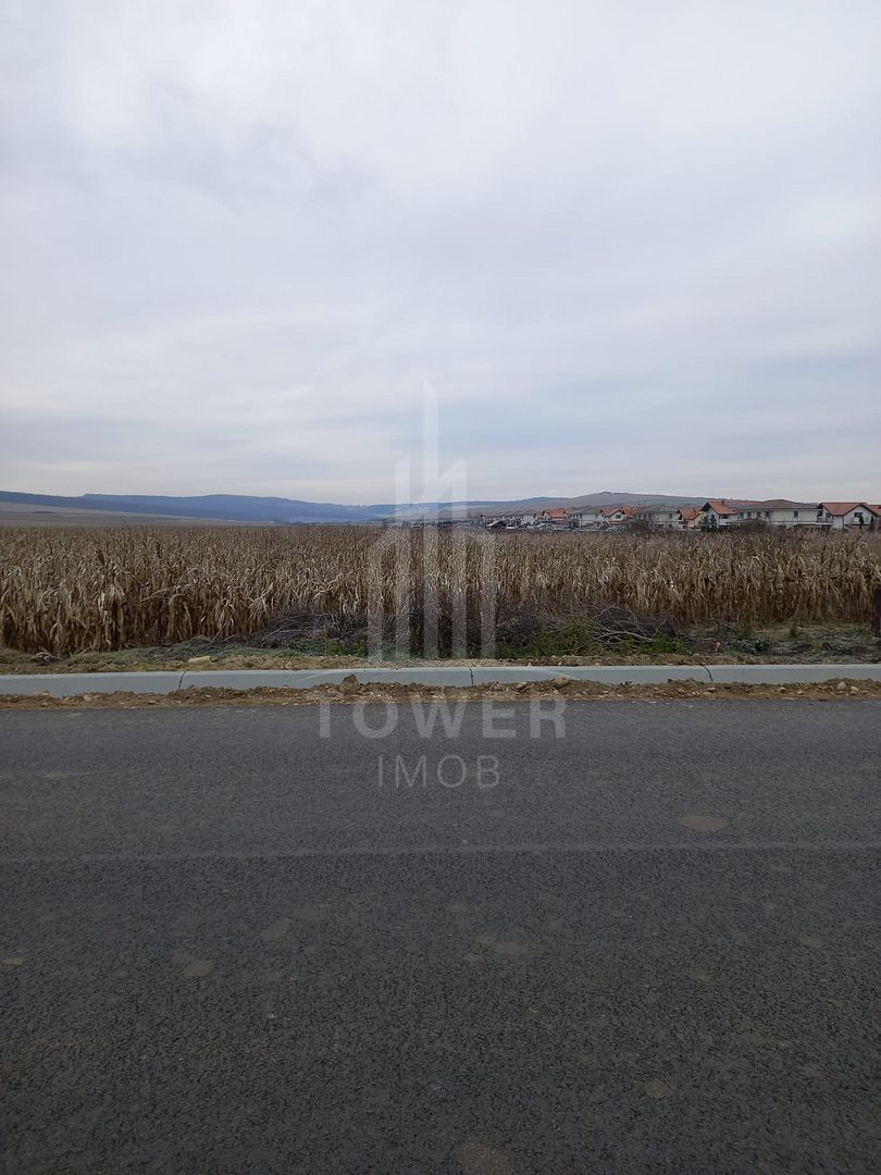 Teren 4,000mp intravilan | Șura Mică - Poză 2