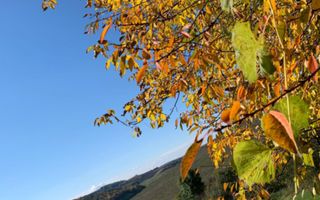 De vânzare casă + teren 30 ari - Silivașu de Câmpie, - Poză 1