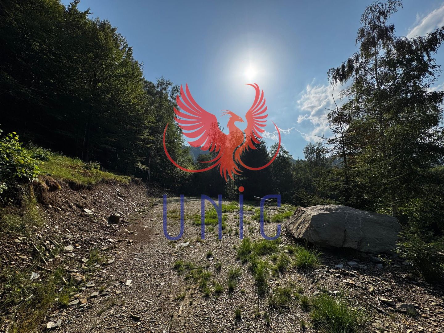 18000 mp de natura pura ,Lupeni, langa Straja - Poză 17