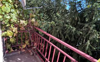 Casă individuală Buftea, 3.162 mp teren, ieșire spre lac - Poză 34