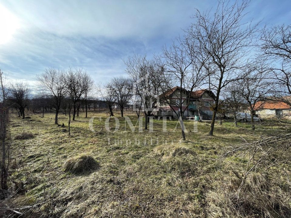 Teren autorizabil la preț foarte bun Chinteni - Poză 2