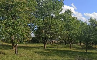 Tren si casa de vacanta in Panticeu - Poză 4