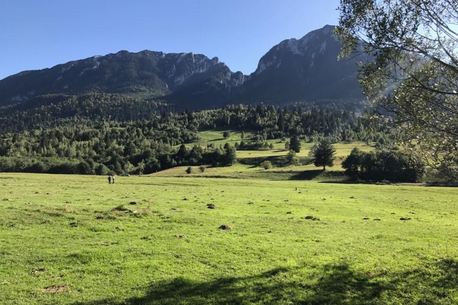 Teren intravilan in Plaiul Foii, Zarnesti - Poză 1