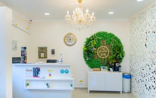 Spatiu comercial de inchiriat / Bulevardul 1 Mai / Comuna Berceni - Poză 2