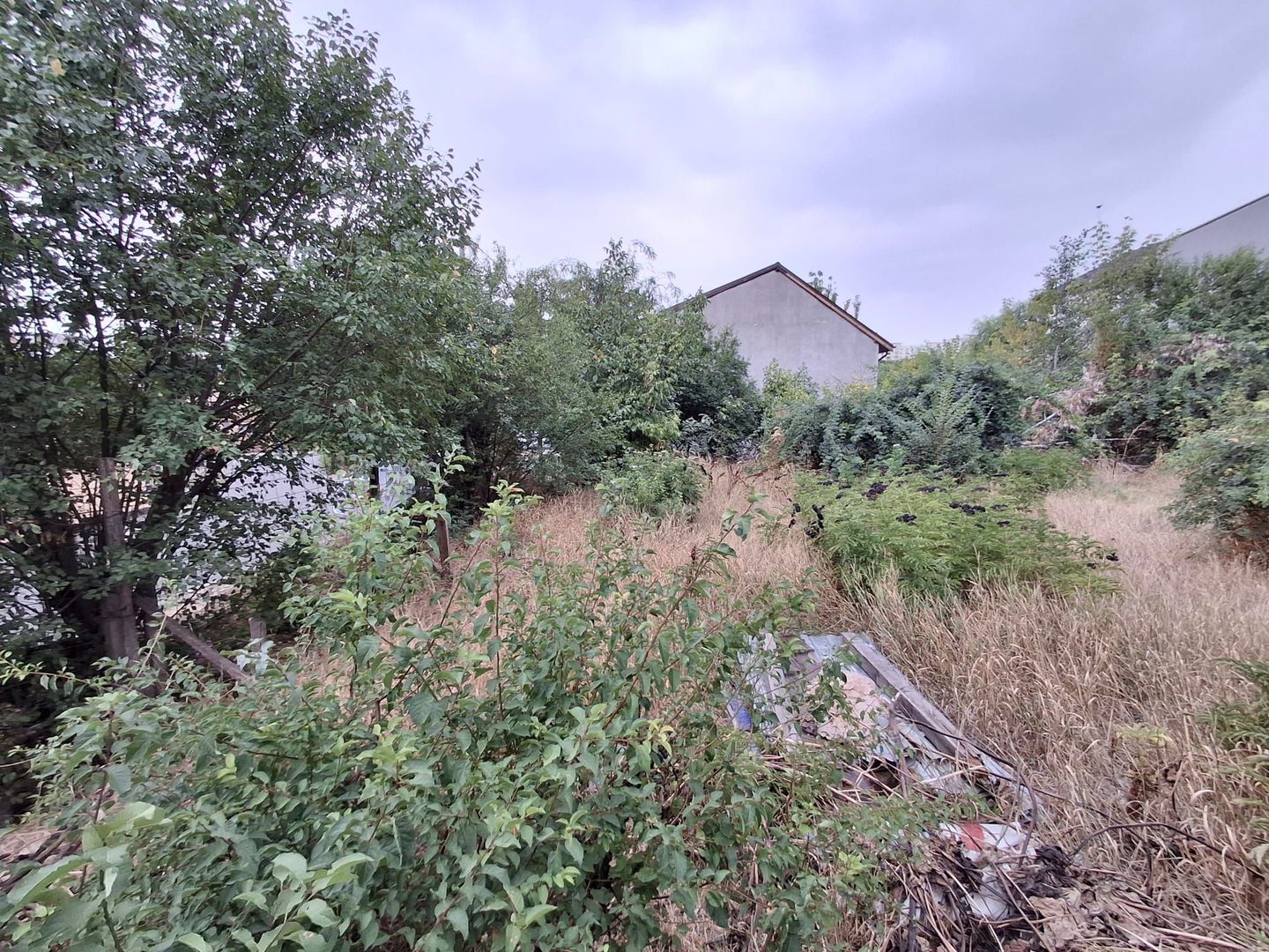 Teren de vanzare - zona Maior Colentina - Poză 13