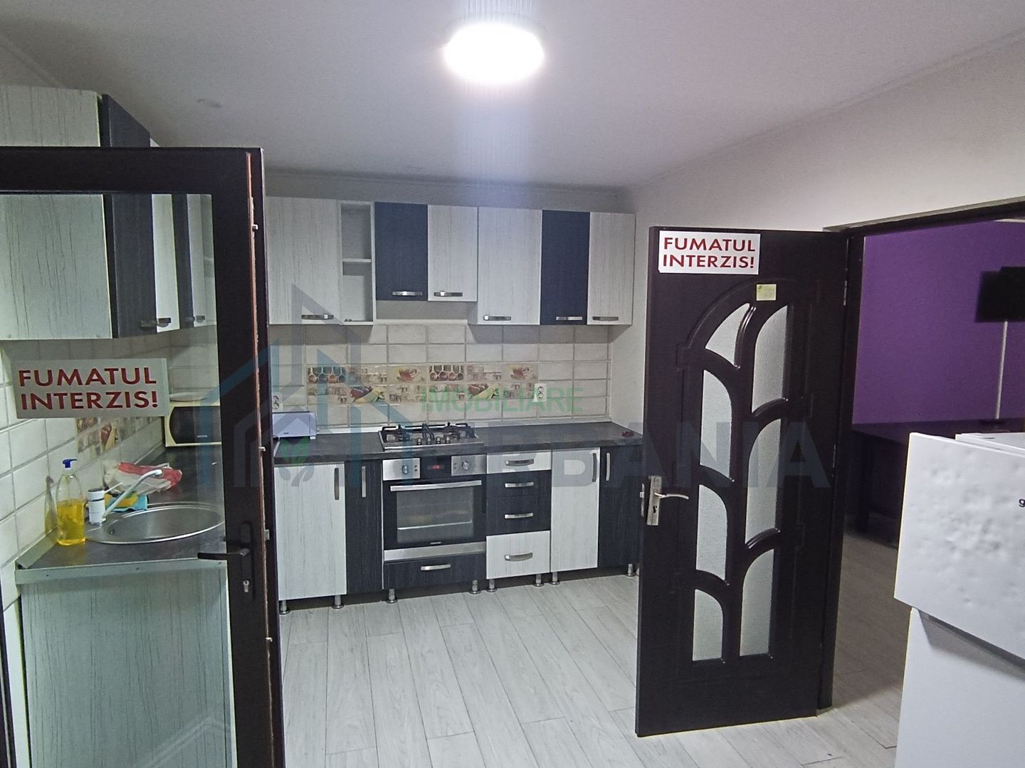 Vila de inchiriat pentru petreceri private - 4 camere, 3 bai, zona Bucium, Plopii Fara Sot, Iasi - Poză 2