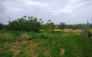 Casa + garaj + 5400 mp teren in Tomesti Goruni, zona de vis, nu rata - Poză 26