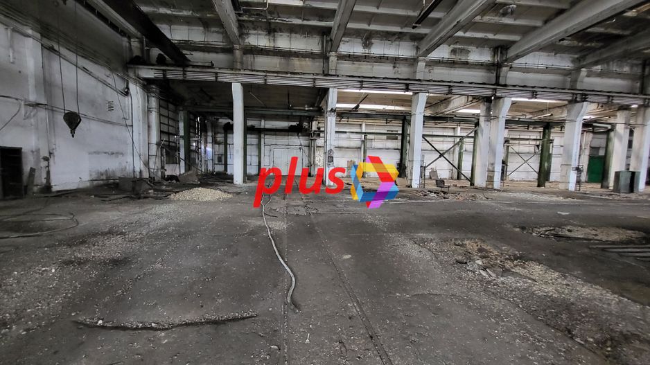 Hala - 3013 mp  # plus-imo.ro - Poză 5