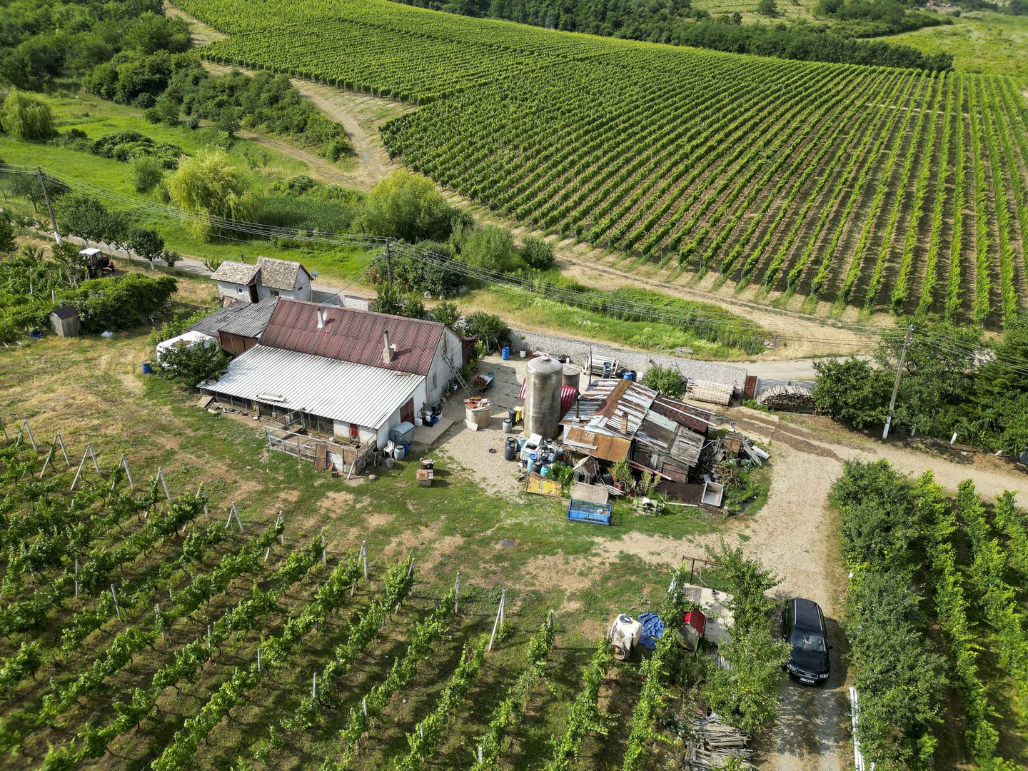 Vie Tradițională „Halta Lupilor” - Poză 43