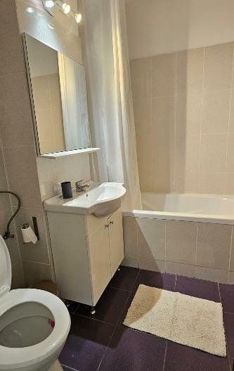 Garsoniera - Parcul Circului - Poză 3