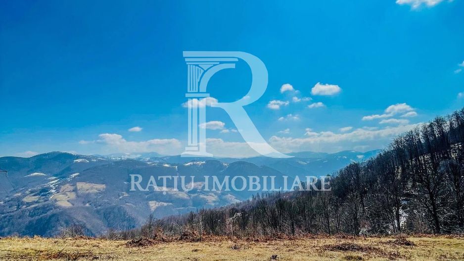PENSIUNE DE ÎNCHIRIAT | REMEȚI | BIHOR | CIUBĂR & SAUNĂ - Poză 9