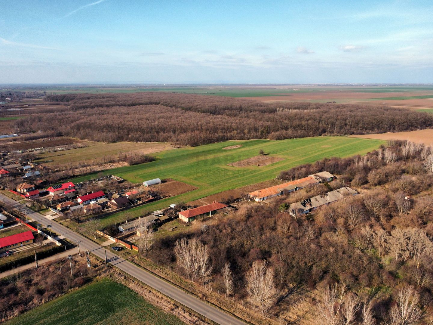 Ferma si livada de meri in judetul Ilfov - Poză 7