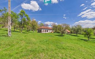 Proprietate rară cu 24.270 mp, în Măgulicea, Arad! - Poză 44