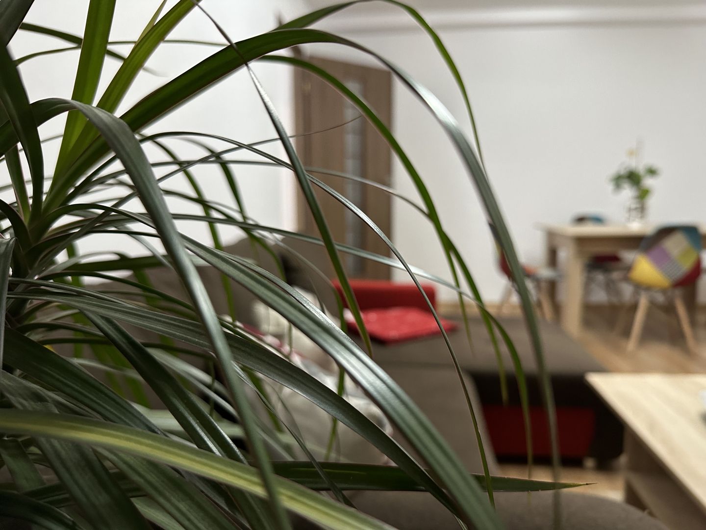 Oferta inchiriata - Apartament 3 camere - de inchiriat - Dacia - Poză 12