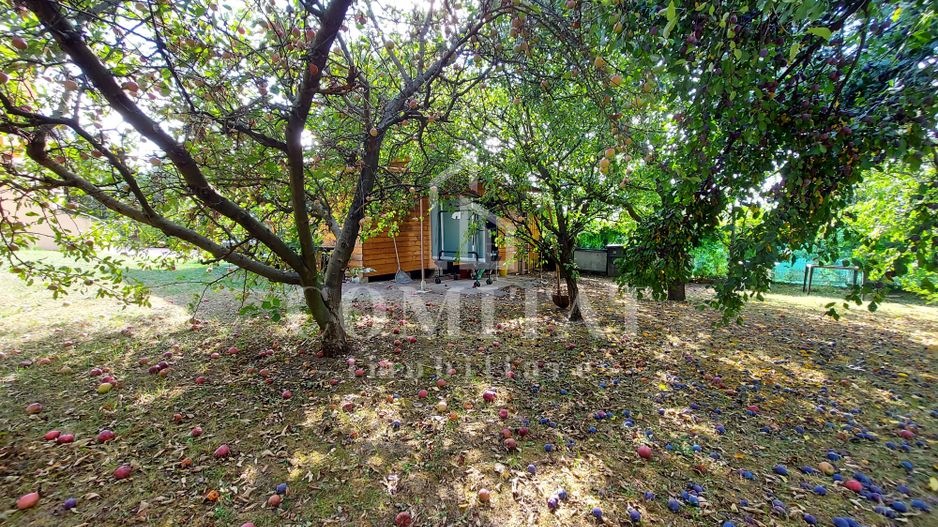 Vilă în Făget | Sediu companie | 2.412 mp teren 8 parcări - Poză 15