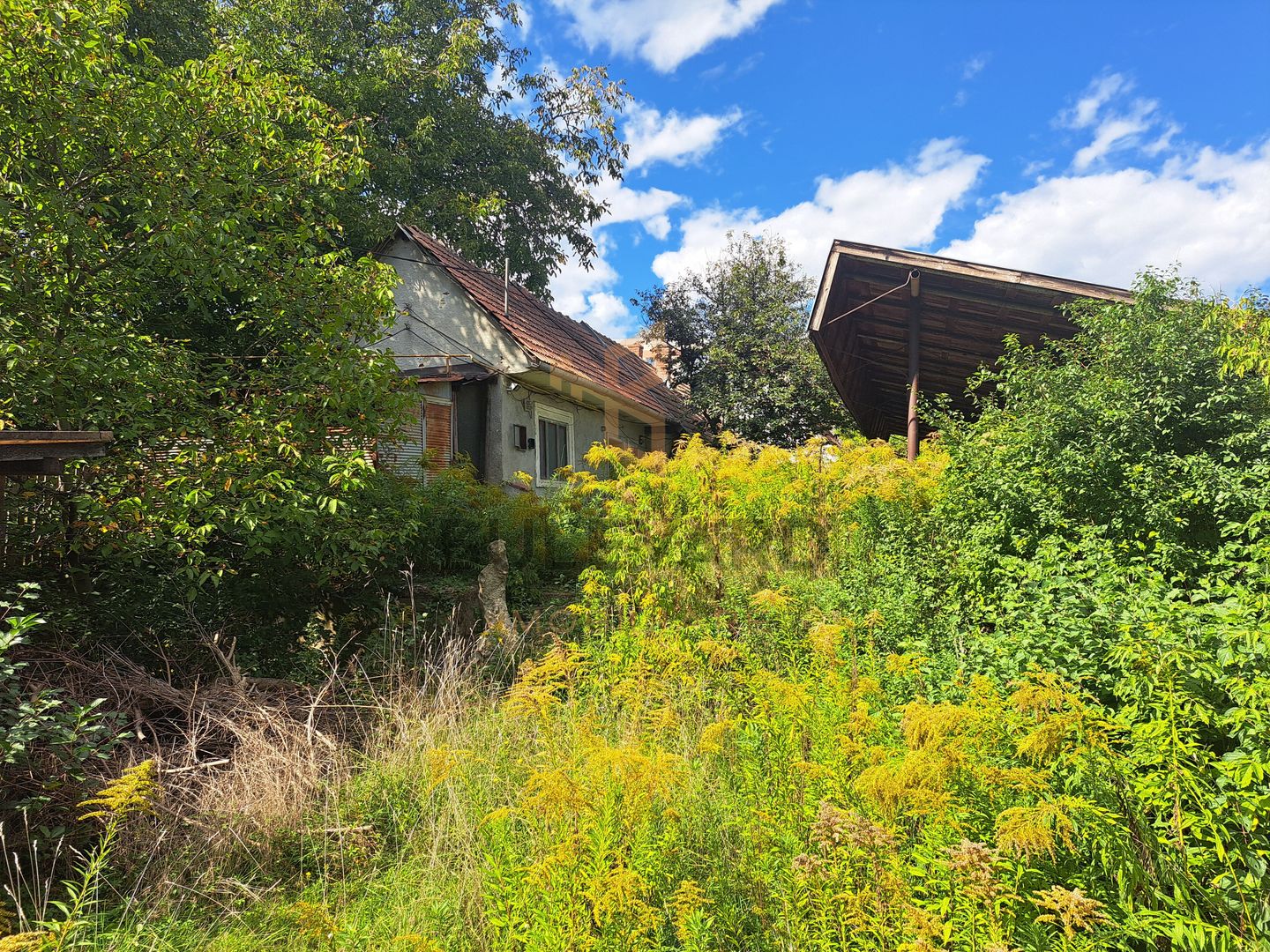 Comision 0. Teren in zona centrala a cart. Grigorescu! - Poză 3