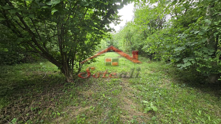 Teren intravilan de vânzare în Cornu de Sus – 1.363 mp fara inclinatie - Poză 4
