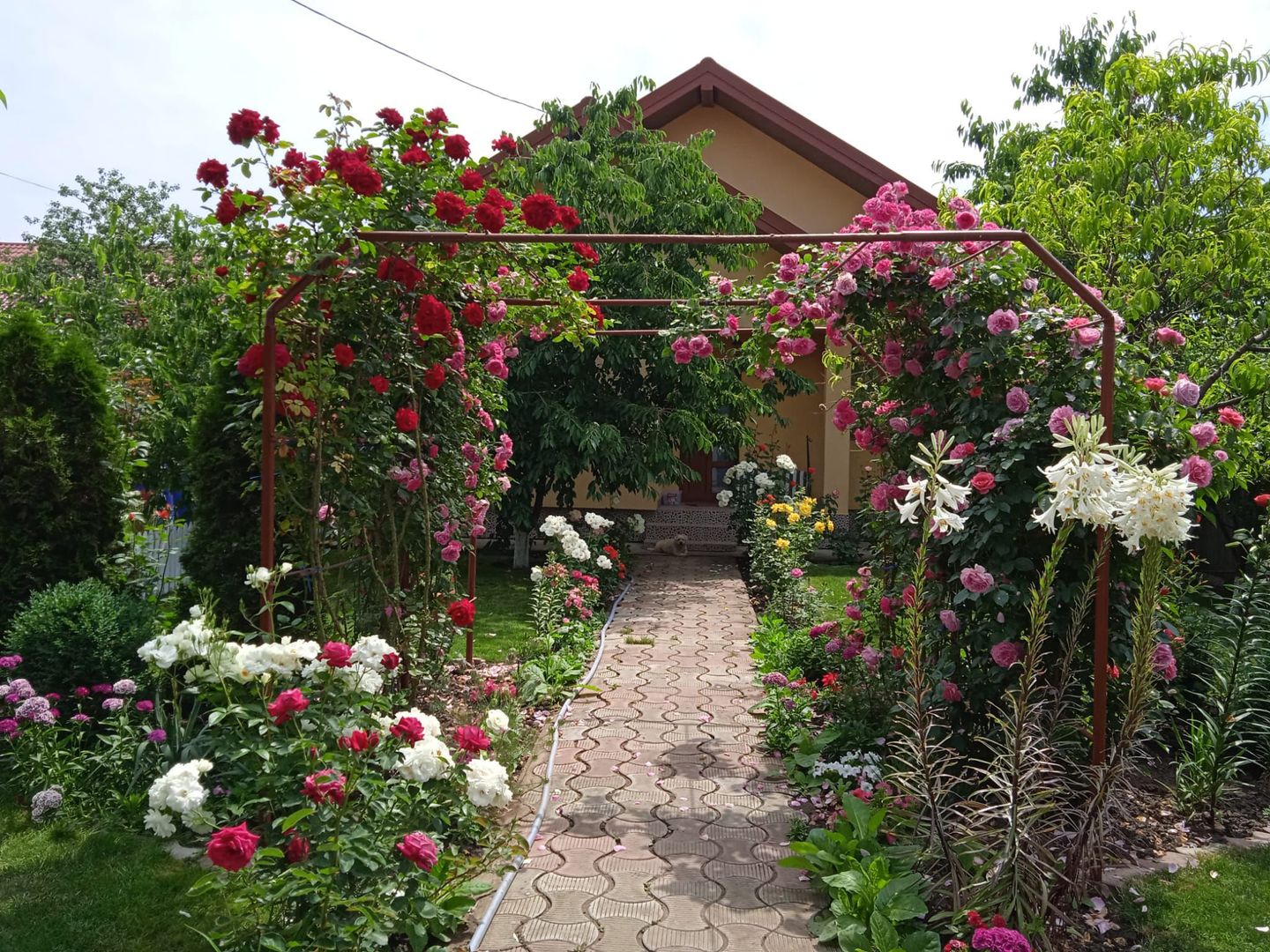 CASĂ individuală  P+M, teren 600 mp, zona M.Grecilor; - Poză 1