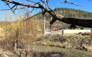 Casa de vanzare pretabila 2 familii, garaj, livada, comuna Pianu - Poză 9