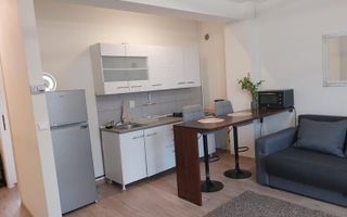 Apartament 2 camere, parter, cu gradina si parcare, bloc nou, zona Podu de Fier / Spital Pascanu, Iasi - Poză 7