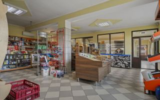 COMISION 0% | 2 Case cu Spatiu Comercial | Teren 1019mp | 540 eur/mp - Poză 22