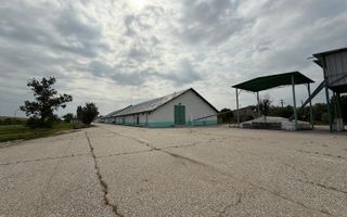 Depozit Cereale-3 Silozuri-Aut ISU-31.000mp-Perfect functional-Olt - Poză 9