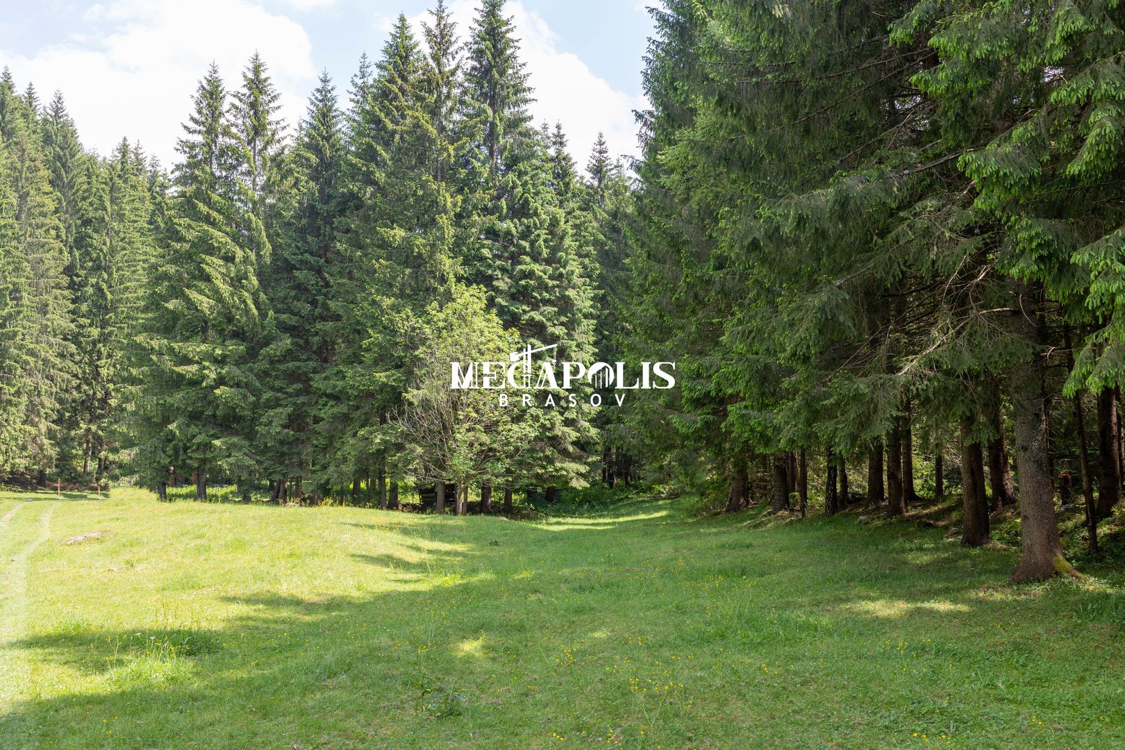 Pretabil Hotel,Pensiune,Case de Vacanta/Utilitati/PUZ - Poză 19