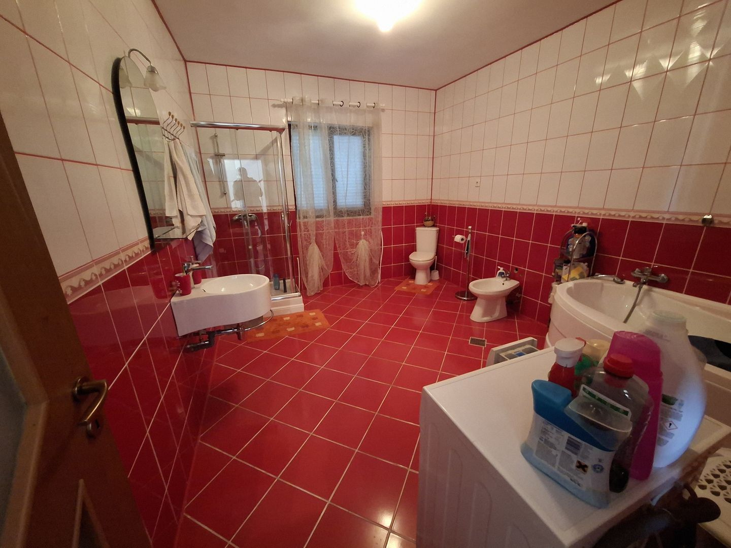 🏡 Casă de vânzare – Nicolae Bălcescu, la E85 - Poză 19