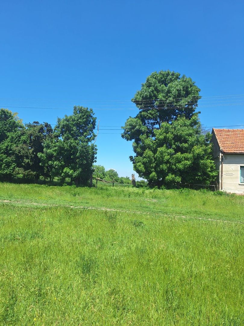 Teren vanzare-8000 m2-Cheveresu Mare -100 m front stradal - Poză 4