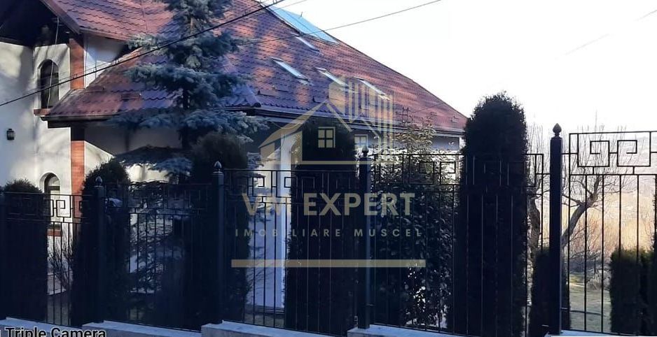VILA 8 CAMERE, TEREN 1294 MP + 2712 MP PADURE, CAMPULUNG - Poză 3