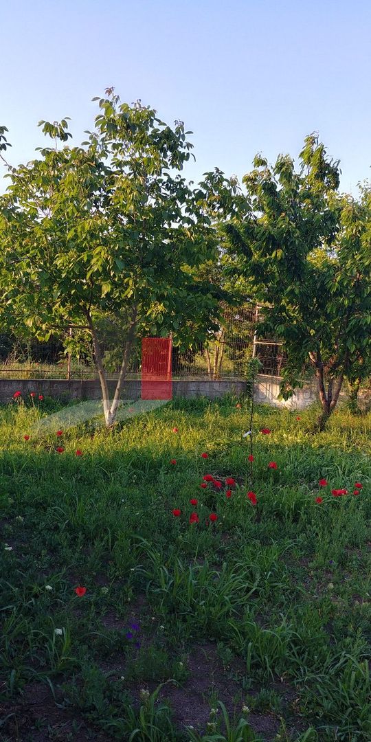 Casa individuala Valu lu Traian - teren mare 1000 mp - Poză 7