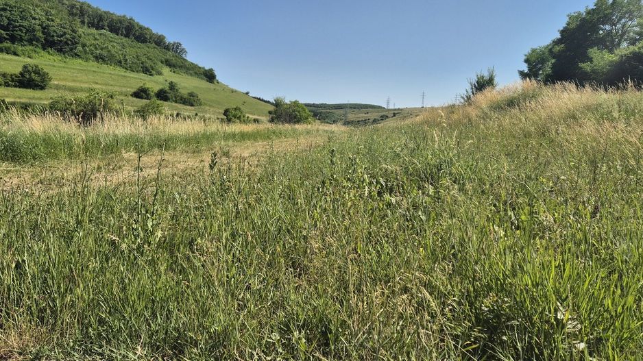 Vand teren Hala  ,  casa , duplex ,la asfalt Luna de sus 1000mp - Poză 7