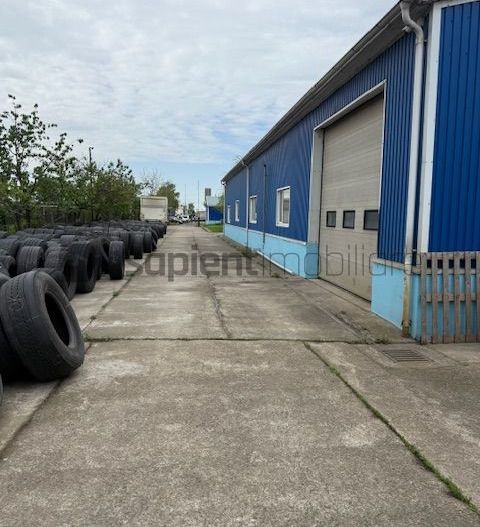 Hala de inchiriat si depozit Calea Borsului - Poză 3