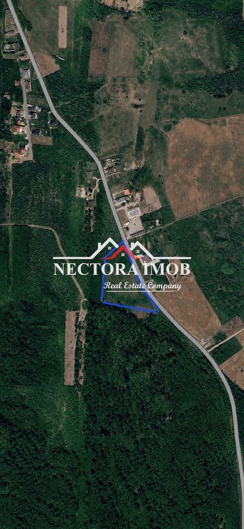 NECTORA IMOB - Loturi teren cu PUZ, utilitati si acces asfaltat, Paleu - Poză 2