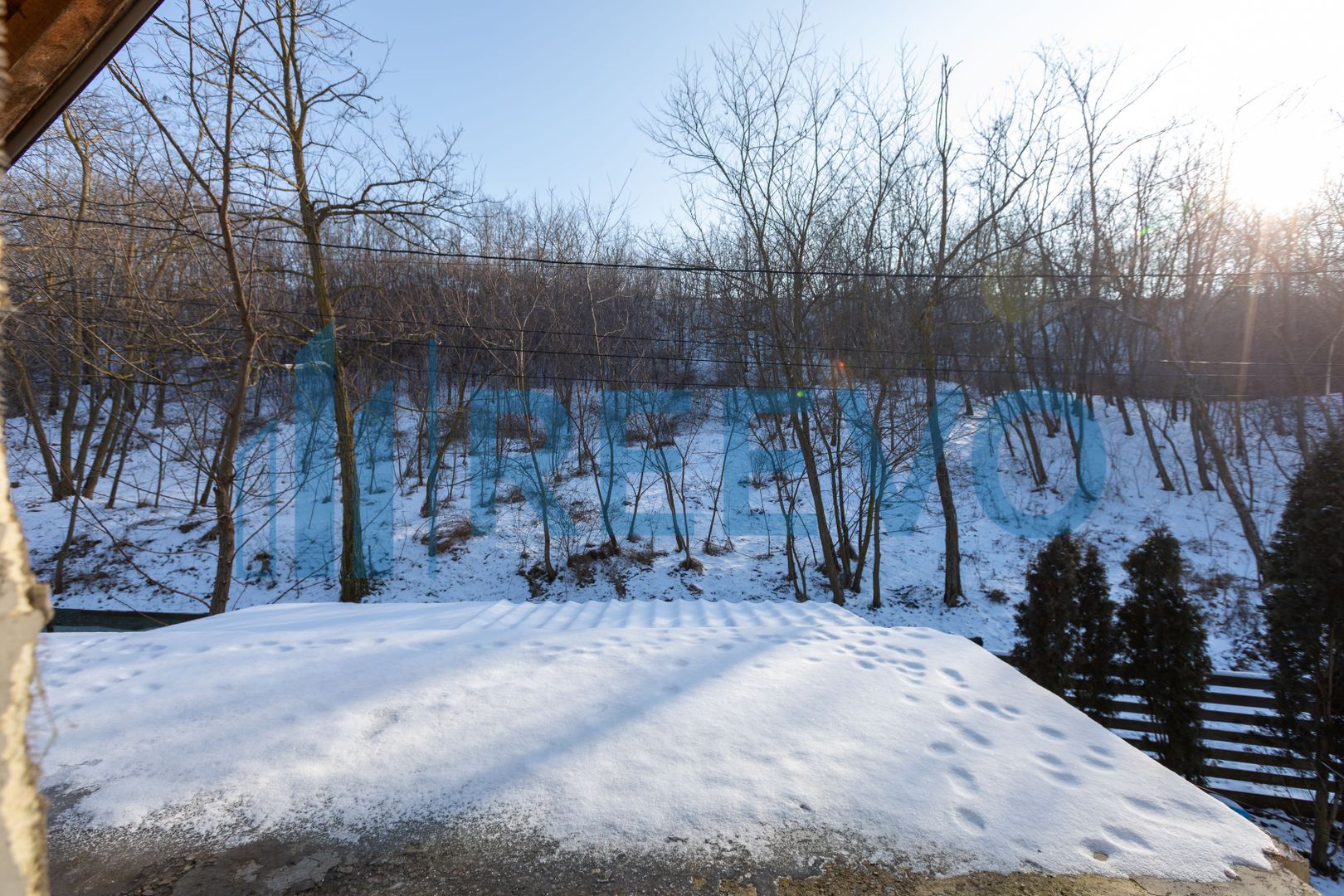 Proprietate cu casa si spatiu comercial+teren 4060 mp Bahna - Poză 40