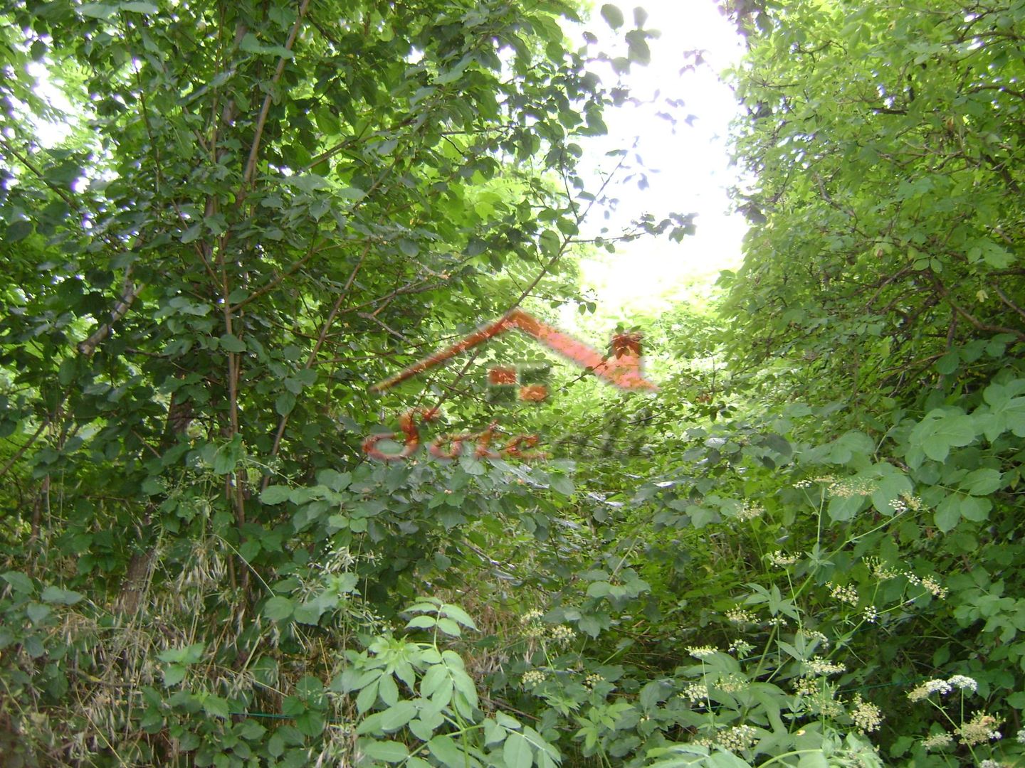 Teren  de vanzare Cornu 643 mp - Poză 4