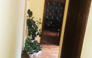 Spatiu comercial 300mp-terasa 100mp-vitrina 10m-Zona Semicentrala - Poză 3