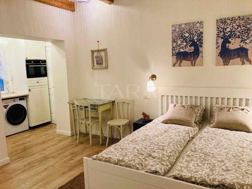 Casă cu 2 studiouri | Zona Horea | Ideal investiție - Poză 3