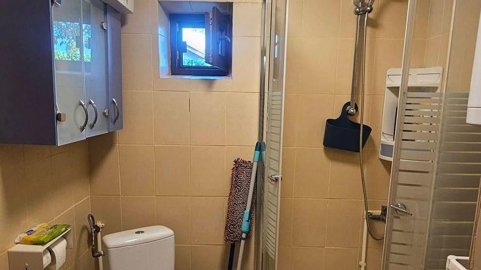 Casă și teren mare, cu ieșire la lac, lângă Mănăstirea Rebegești Crevedia - Poză 16