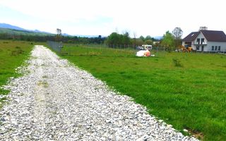 Teren Extravilan | 8.000 MP | Utilități | Acces Facil | Zona Valea Avrigului - Poză 1