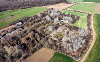 Ferma si livada de meri in judetul Ilfov - Poză 11