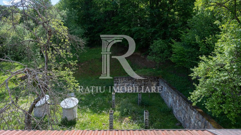 Proprietate Unică în Natură | Teren Mare + Intimitate Totală - Poză 5