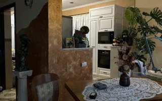 Casa de vanzare P+1, 4 Garaje, Vetis - Poză 12