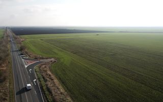 TEREN INDUSTRIAL/COMERCIAL BECICHERECU MIC - Poză 1